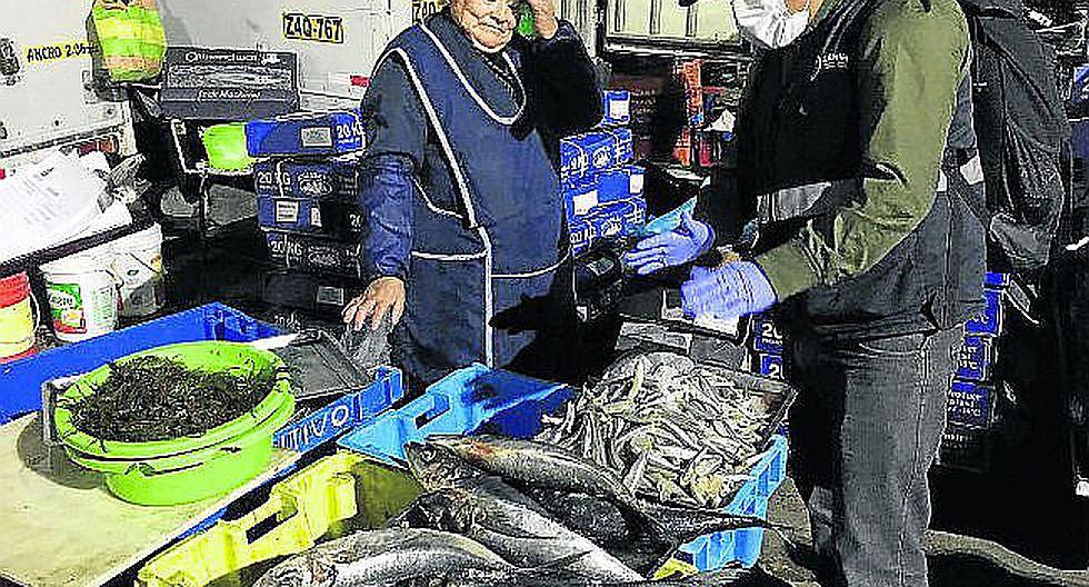 Escasean productos hidrobiológicos tras cierre del terminal pesquero
