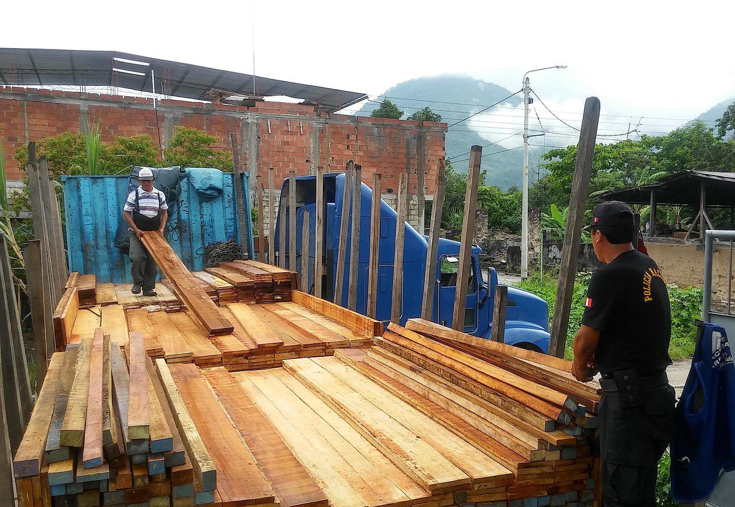 Decomisan madera congona y tulpay valorizada en 40 mil soles 
