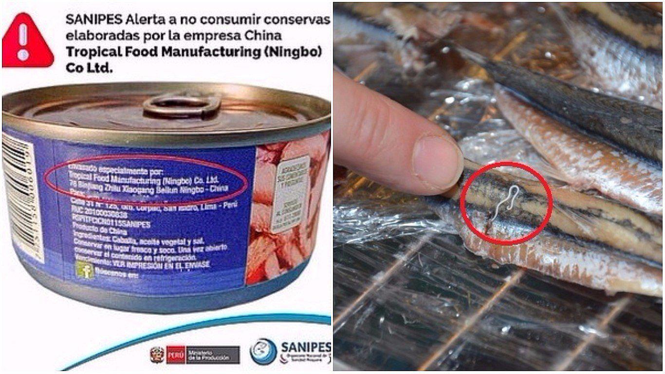 ​Conservas con gusanos: ¿qué es el anisakis, el parásito que se encuentra los enlatados?