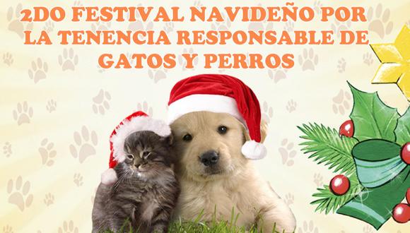 Cusco: Festival navideño para perros y gatos este sábado