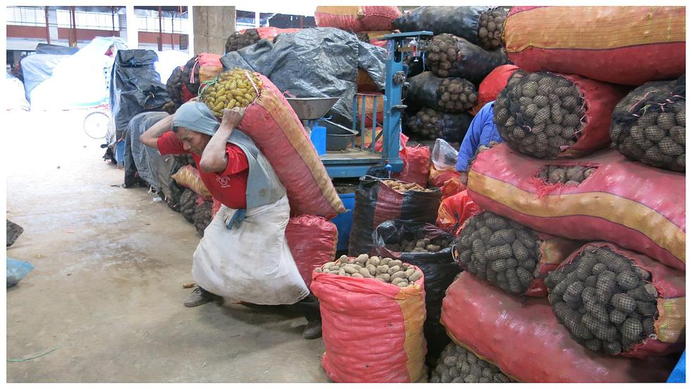 ​Ejemplares padres celebraron su día trabajando por su familia (FOTOS)