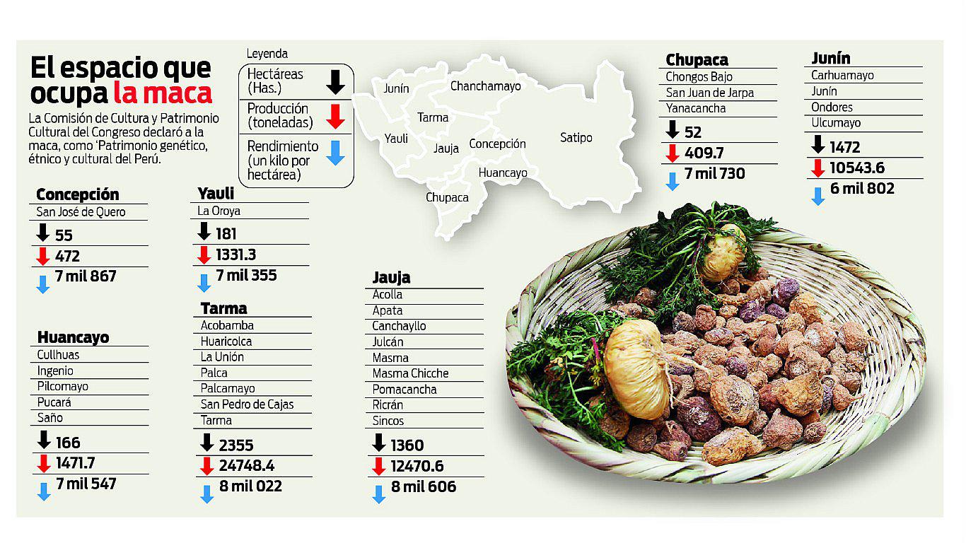 ​Maca, patrimonio de Junín que dinamiza la economía 