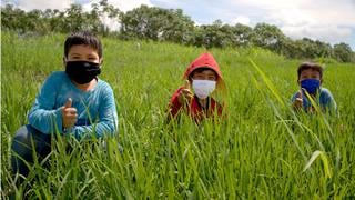 Día del Niño Peruano: ¿por qué se celebra el segundo domingo de abril?