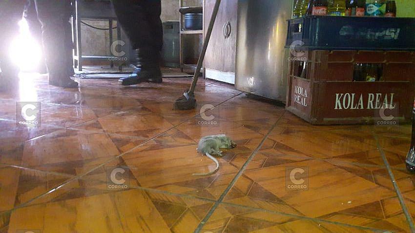 Hallan una rata en chicharroneria La Gatita