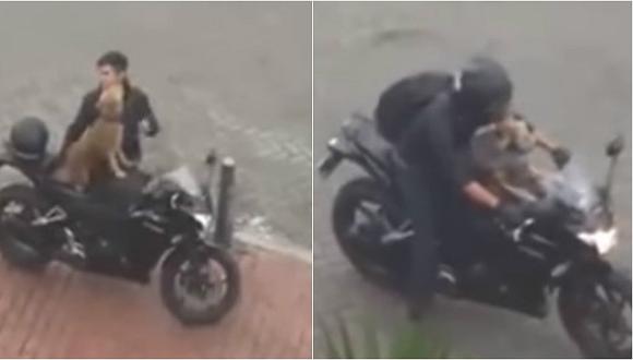 ​Perrito motociclista cautiva a usuarios en las redes sociales (VIDEO)