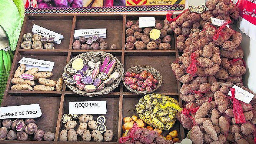 A diez años de la revolución de la papa