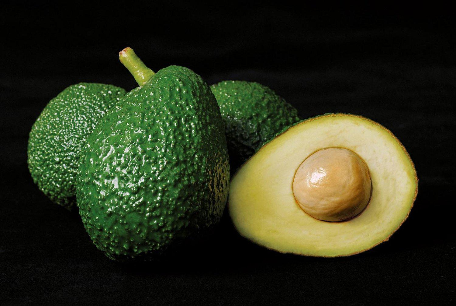 Palta Hass cusqueña se va a Europa, Asia y Norteamérica