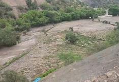 Incremento y desborde del río Yura destruye 300 hectáreas de cultivo