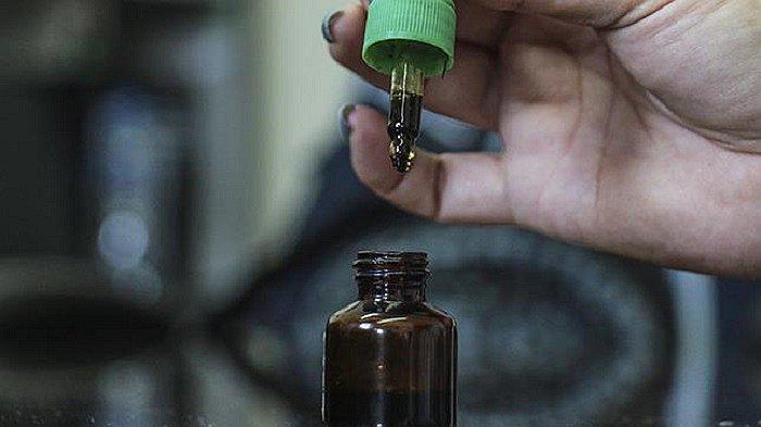 Salud: Legalización del cannabis evitará comercialización adulterada de producto 