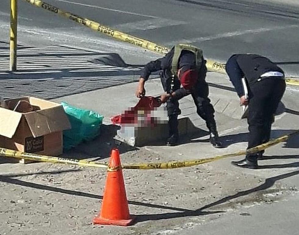 Dejan en la vía pública dos fetos dentro de frascos y expuestos a los canes