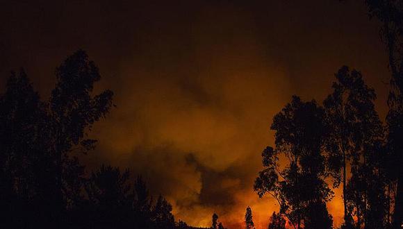 ​Chile pide ayuda internacional para combatir incendios forestales