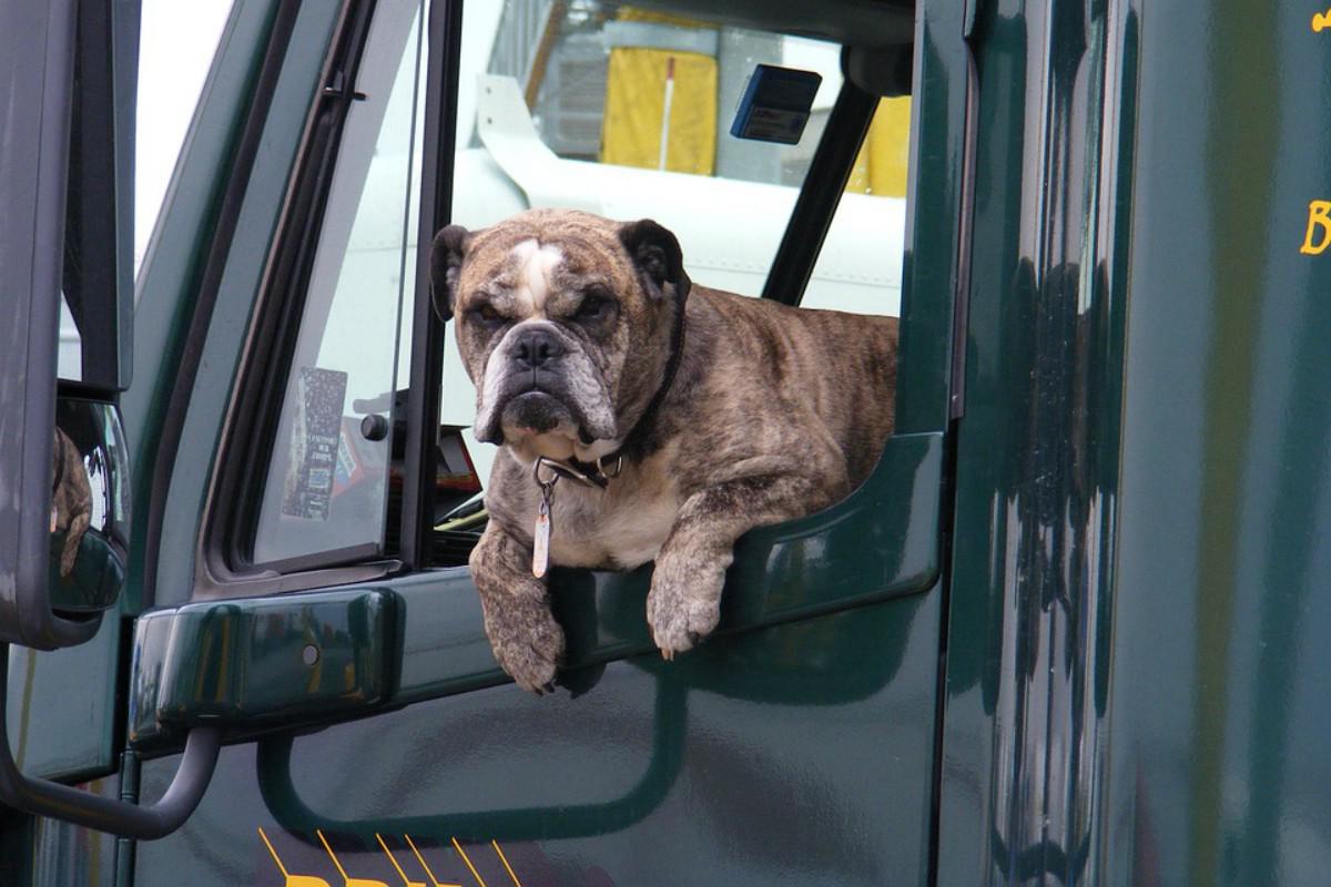 La prevención adecuada ayudará mucho a no tener que enfrentar escenarios adversos. (Foto: Referencial/Pixabay)