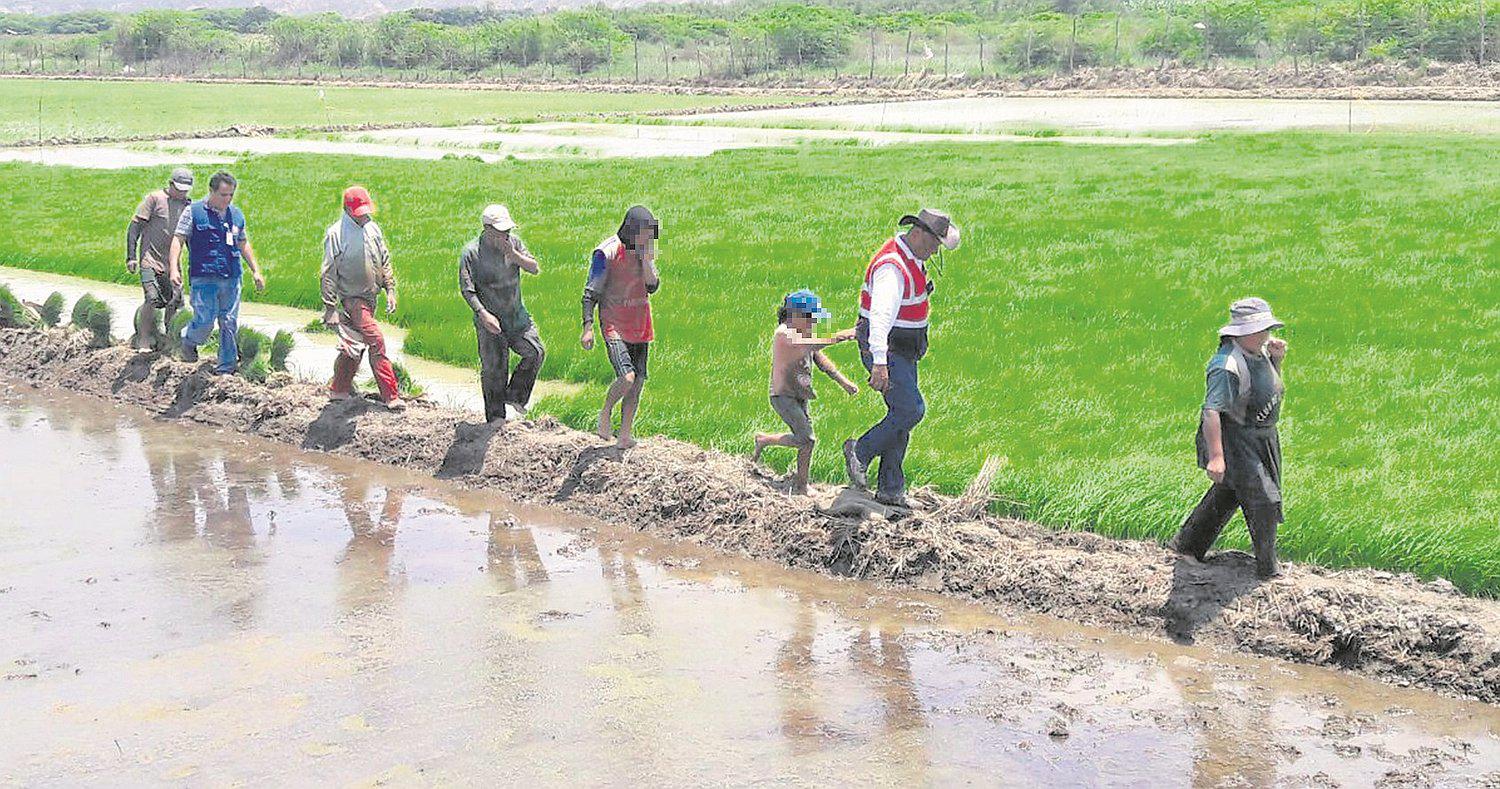 Hallan a 5 niños en campos de cultivo 