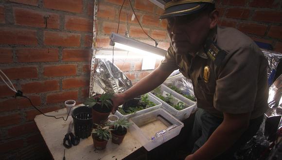 ​Encuentran laboratorio de marihuana en el Cercado de Lima