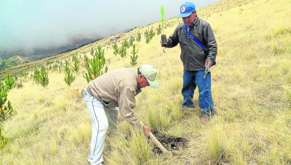 Huamanga: Ni un sol para  medio ambiente