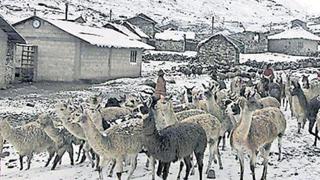 Región Puno sigue en alerta amarilla y roja por las bajas temperaturas