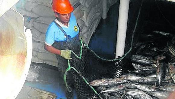 Donan l47 toneladas de atún incautadas a barco ecuatoriano que pescaba en mar de Pisco