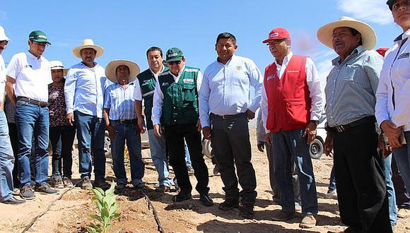 Ministro de agricultura inauguró parcela demostrativa en Pampa del Arrastrado