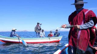 Recursos pesqueros del Titicaca bajan en casi 90%, según la ALT