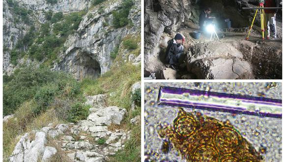 España: Encuentran vestigios de flores sobre una tumba del Paleolítico