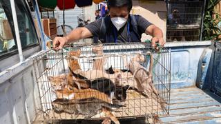 Trujillo: Intervienen a vendedores de  mascotas en Sinchi Roca y clausuran local