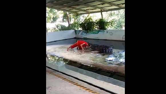​¡Impactante! adiestrador coloca su cabeza en boca de cocodrilo y pasa tenso momento (VIDEO)