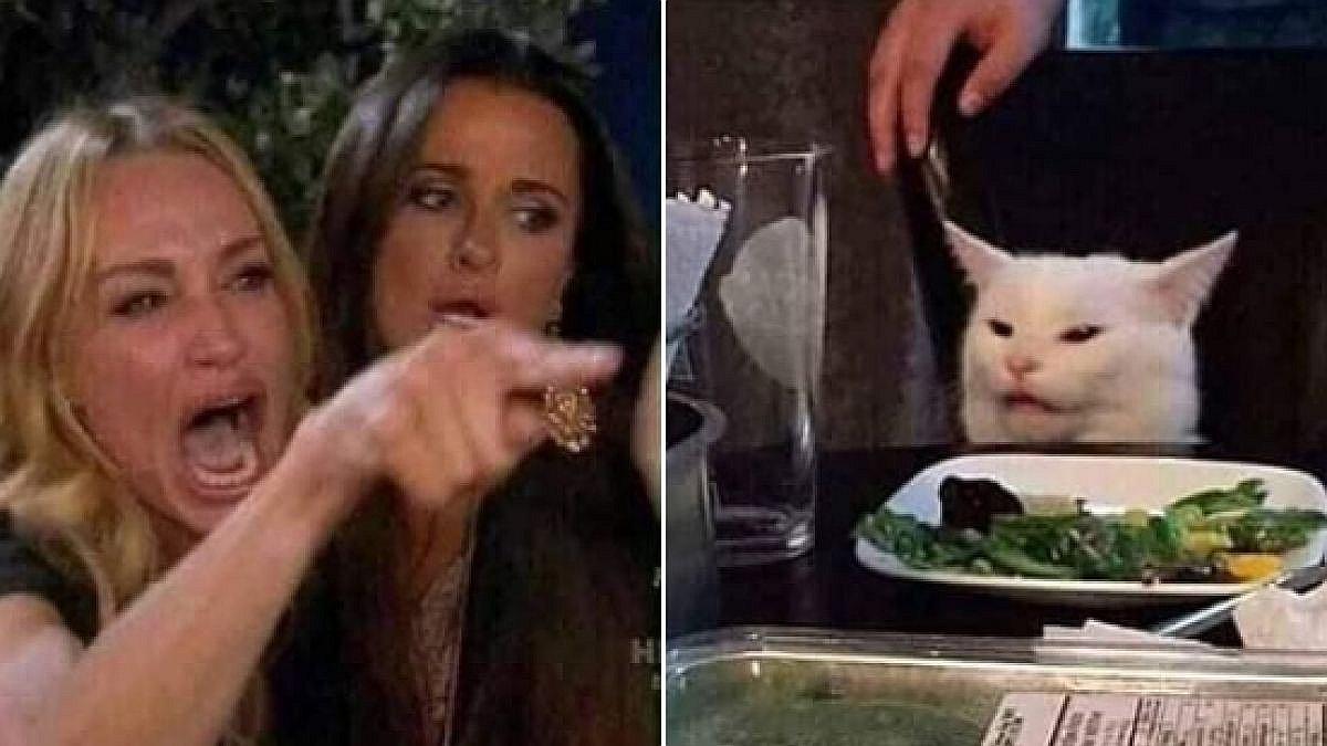 Profesor De Derecho Incluyo Meme De Gato Como Pregunta Bonus En Examen Universitario Miscelanea Correo