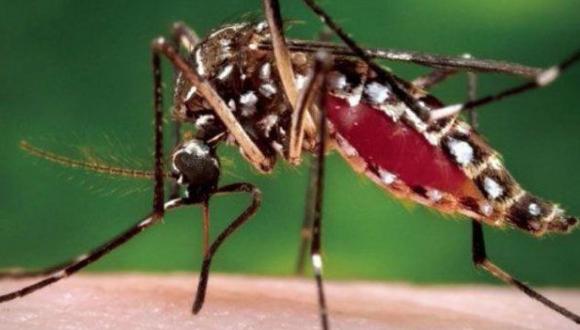 Confirman tercer caso de fiebre chikunguña