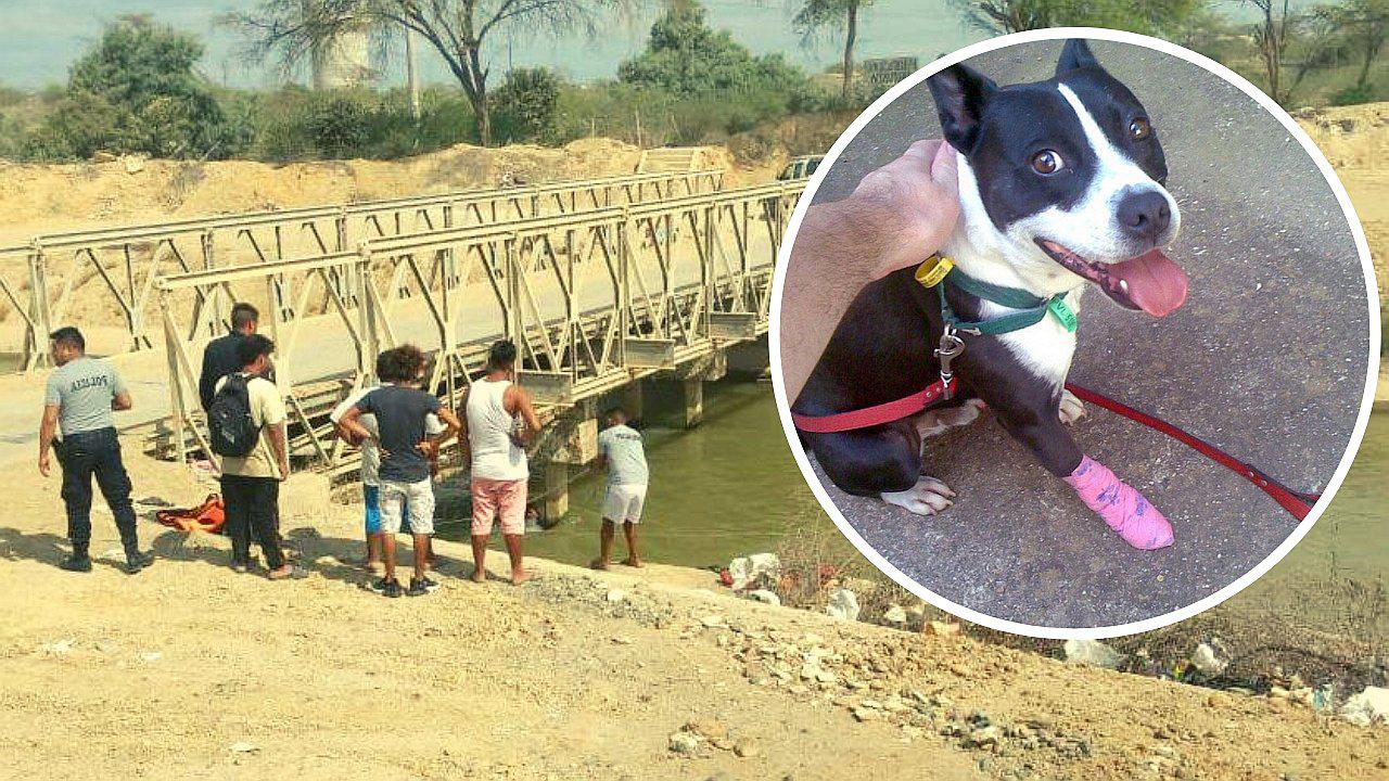 Un joven se ahoga en canal de regadío cuando rescataba a un perro