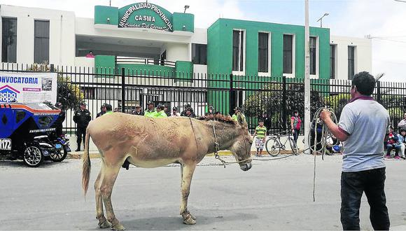 Llevan un burro a la comuna de Casma para protestar