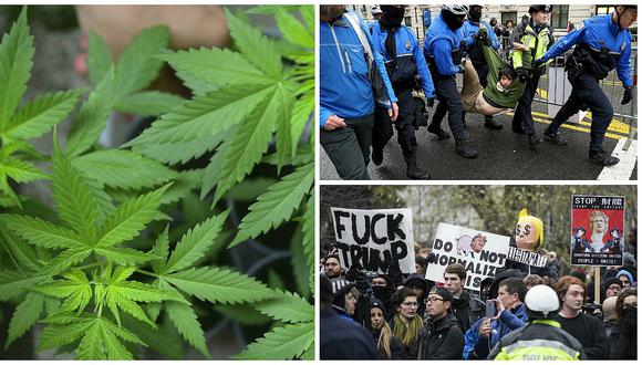Marihuana: Activistas reparten cannabis gratis en protesta contra Donald Trump en Washington