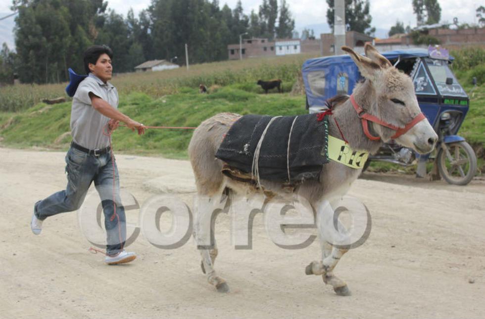 Vea la divertida carrera de burros de Semana Santa (Fotos)