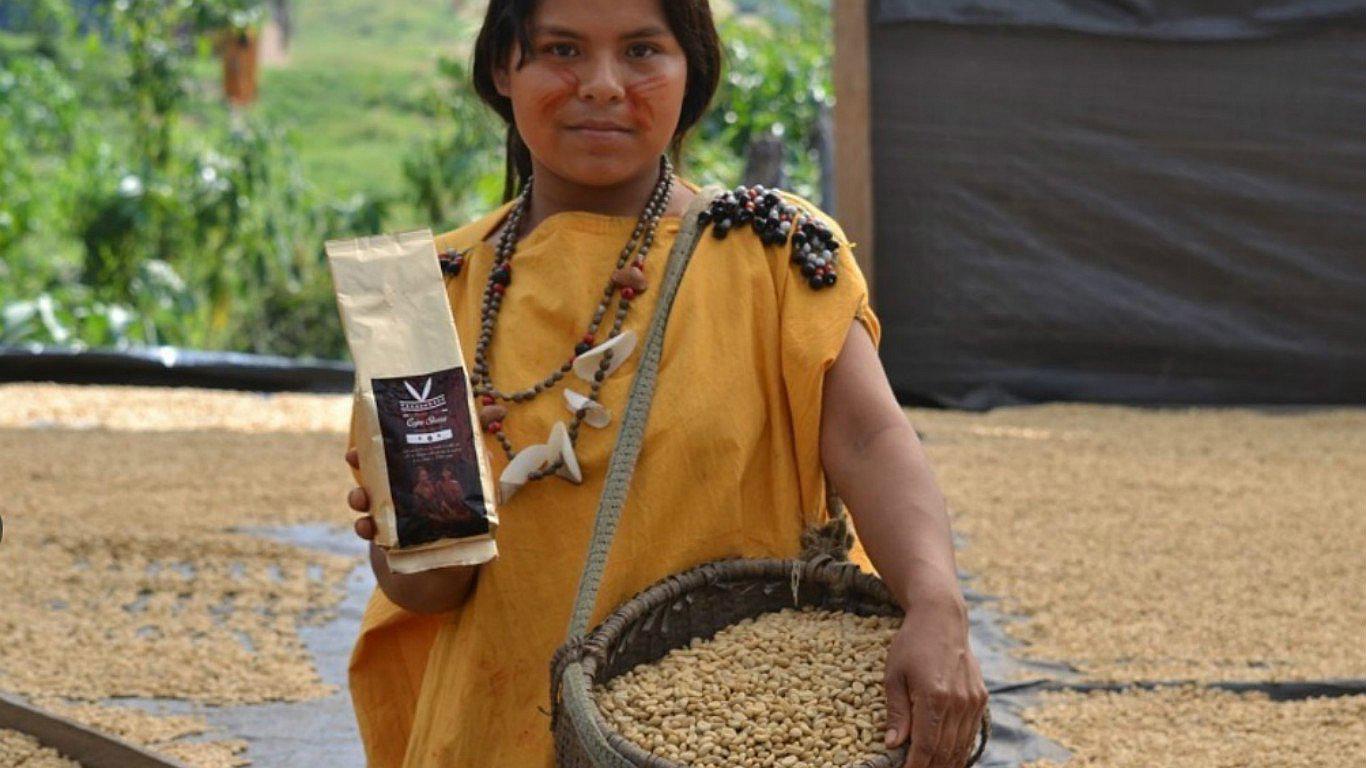 ​Día del café peruano: conoce los tipos de este aromático grano 