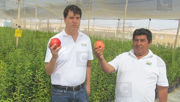Agricultores reciben plantaciones de granada Wonderfull para su cultivo en 80 hectáreas