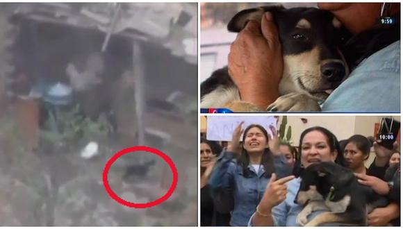 VMT: el emotivo rescate de perrito que fue salvajemente maltratado (VIDEO)