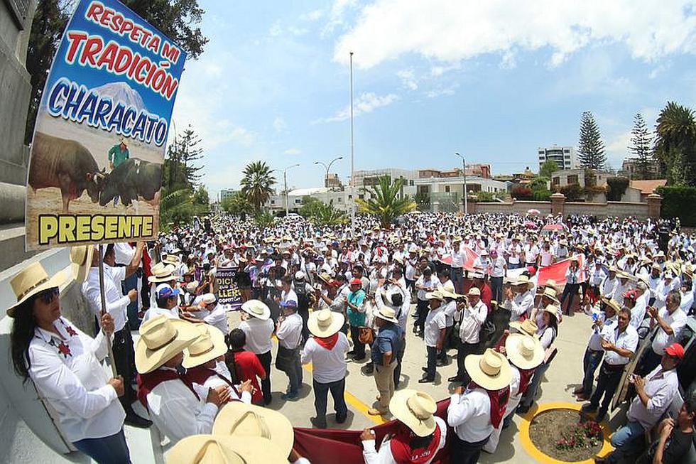 Criadores de Gallos y de Toros piden que se respeten las tradiciones (FOTOS y VIDEO)