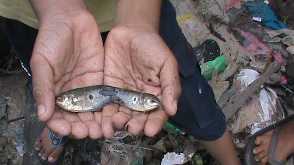 Niños "pescan" en desagües de Iquitos (FOTOS)