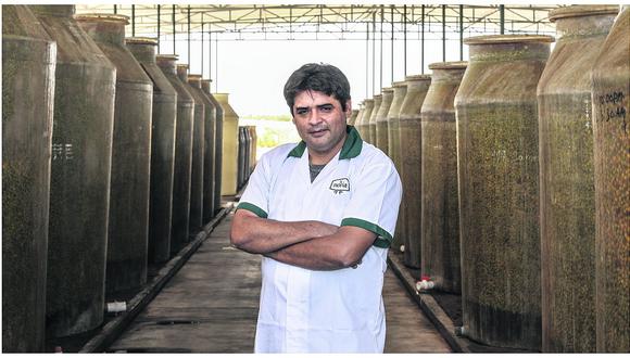 Gianfranco Vargas: “El lenguaje sensorial del olivo debe ser sencillo e inclusivo”