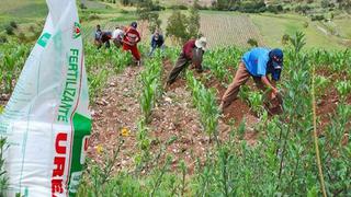 Produce: Construcción de la planta nacional de urea generaría más de 5,000 puestos de trabajo