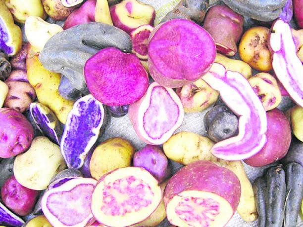 Tayacaja es la provincia más papera de Huancavelica 