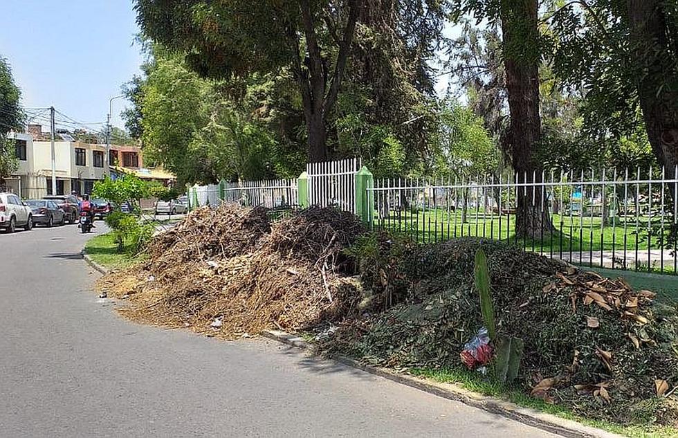 Cúmulos de basura siguen en las calles tras 2 meses de nuevas autoridades (FOTOS)