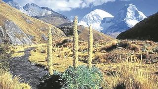Áncash: Tres montañistas ecuatorianos se extraviaron en nevado Huascarán