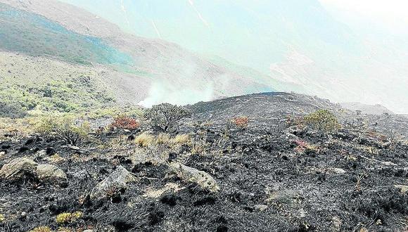 Piura: Esperan declaratoria de estado de emergencia por incendios forestales 