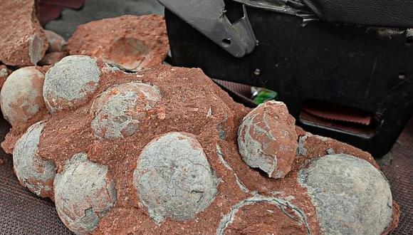 Un niño encontró huevos de dinosaurios de 64 millones de años de antigüedad (VIDEO)