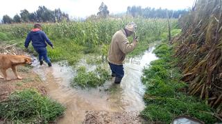 Más de 20 casas se inundan con aguas servidas por desborde de laguna contaminada en Huancayo (FOTOS)