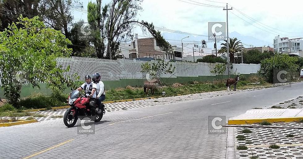 Ecoparque Divino Niño está olvidado por comuna provincial de Arequipa(FOTOS)