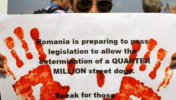 Rumania acepta ley para sacrificar perros callejeros