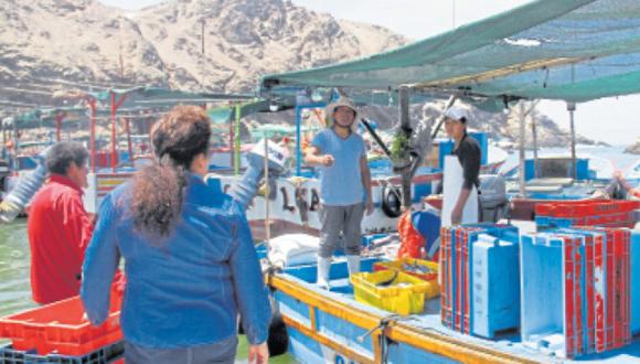 Aún no hay registro del daño en el litoral arequipeño. Biólogo descarta que contaminación por derrame de petróleo llegue a las costas de Arequipa, Moquergua y Tacna. (Foto: GEC Archivo)