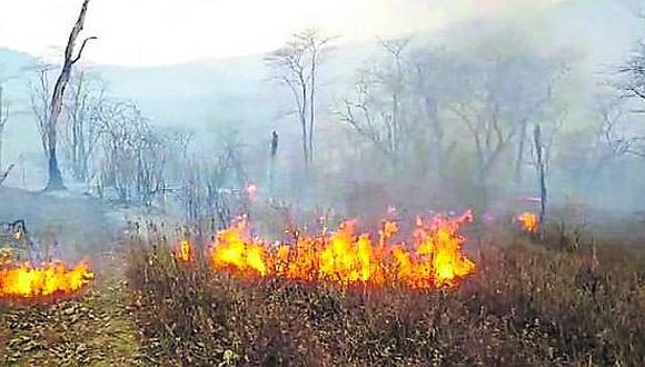 Más de 60 hectáreas afectadas por incendio en Reserva Nacional de Tumbes