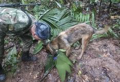 Hallan vivos a cuatro niños tras 17 días perdidos en la selva colombiana
